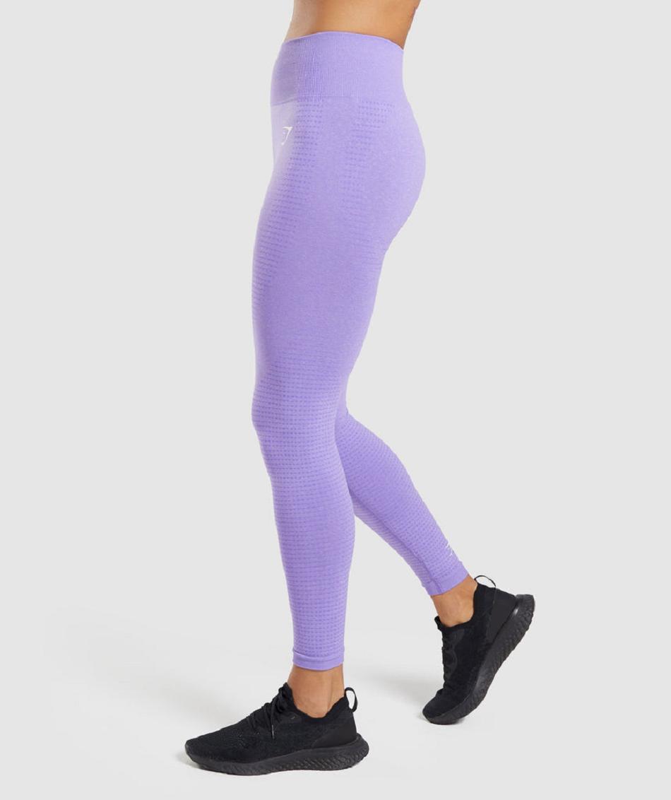 Gymshark Vital Seamless 2.0 Ženske Tajice Svijetlo Ljubičaste | HR 4090XYU